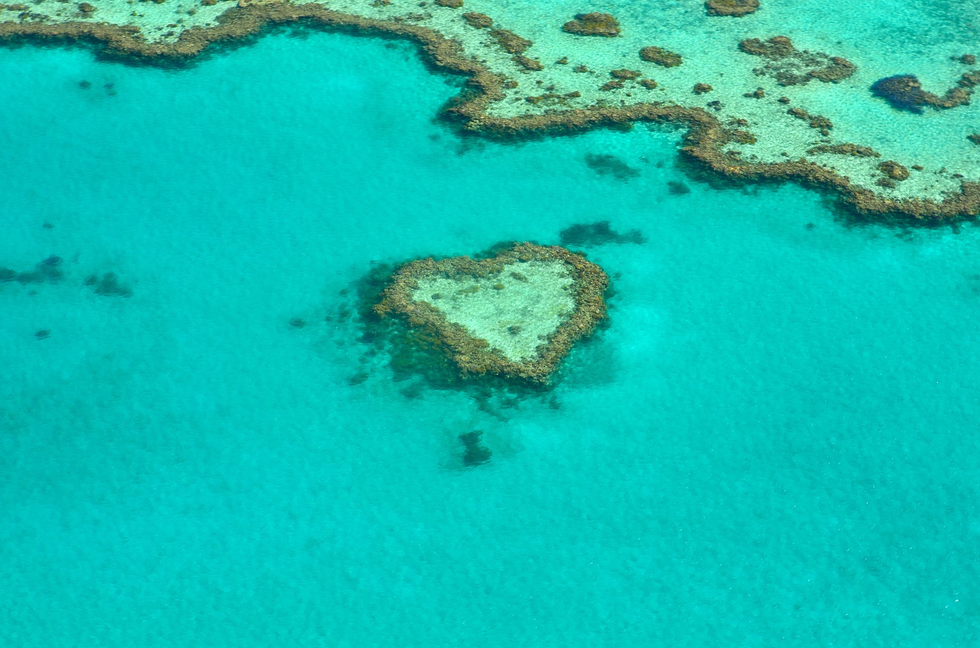 Great Barrier Reef | Backpacking with Bacon | UK Travel Blog