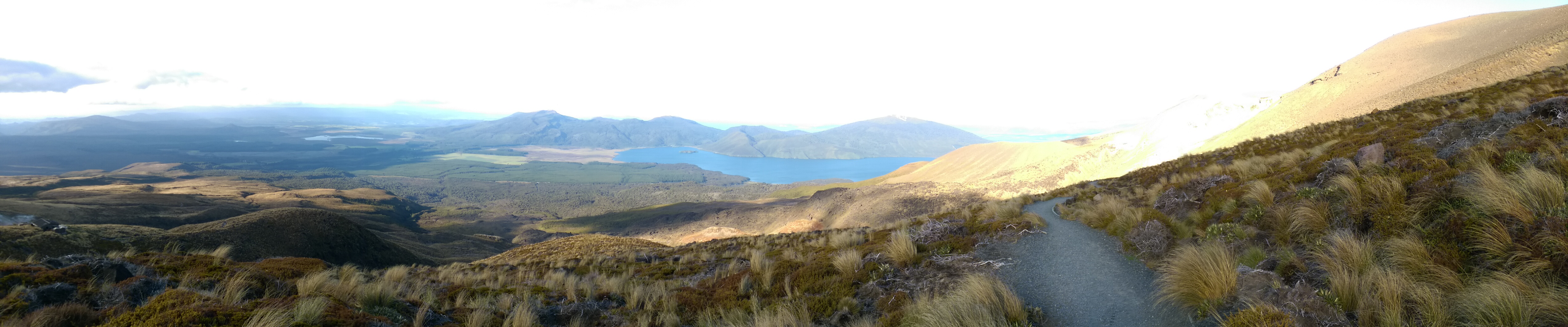 Backpacking with Bacon | Hiking Travel Blog | NZ