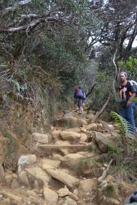 kinabulu stairs