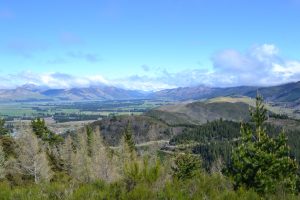 hanmer springs new zealand