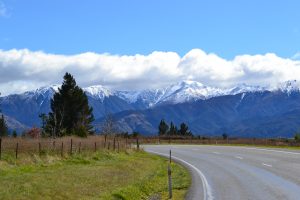 driving in new zealand