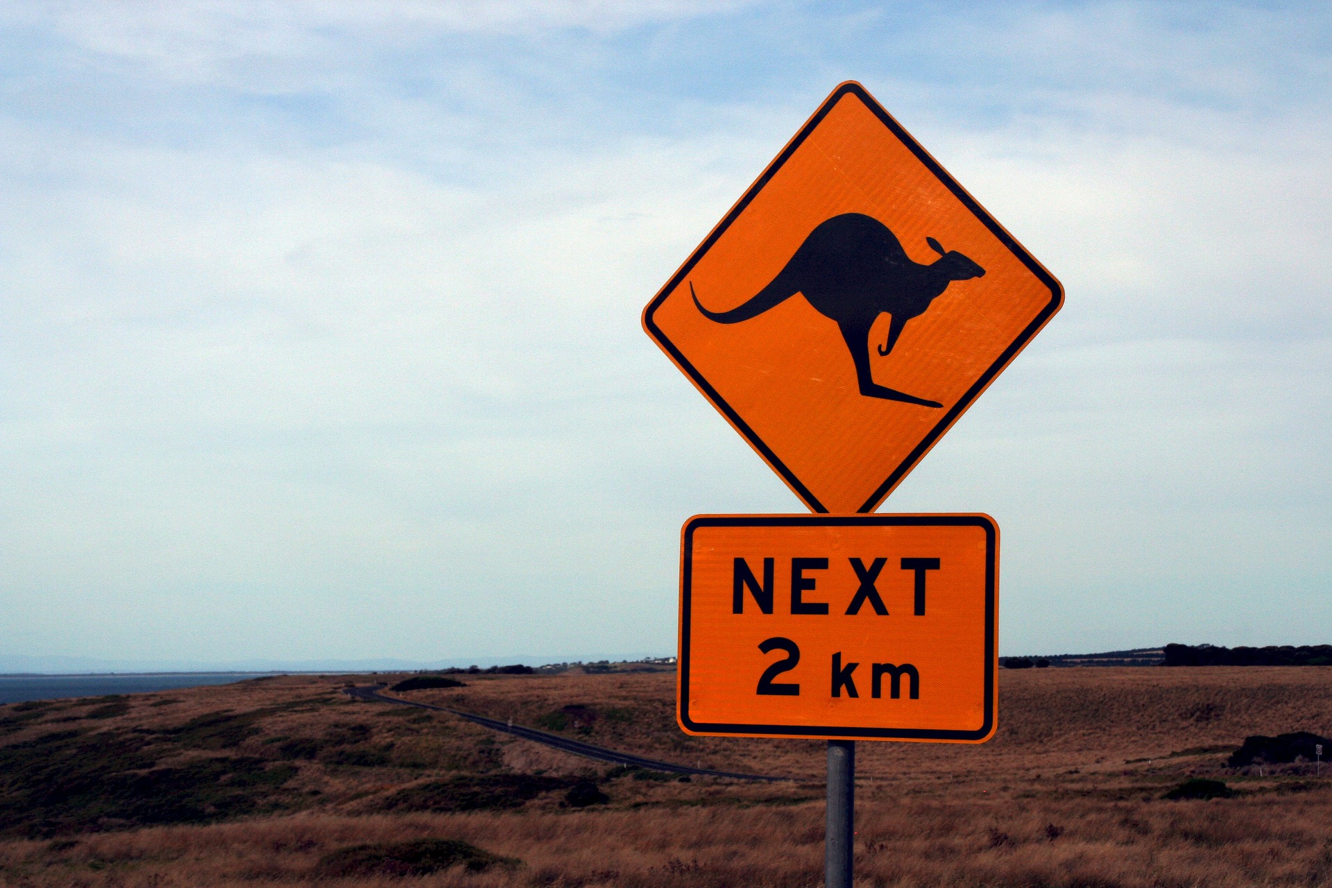 Outback Kangaroo Sign | Backpacking with Bacon | Solo Travel Blog