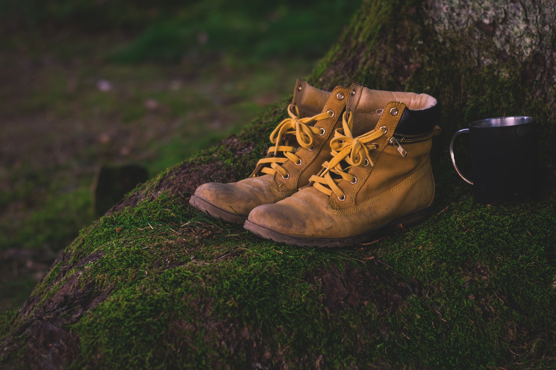 Hiking Shoes | Backpacking with Bacon | Travel Advice Blog