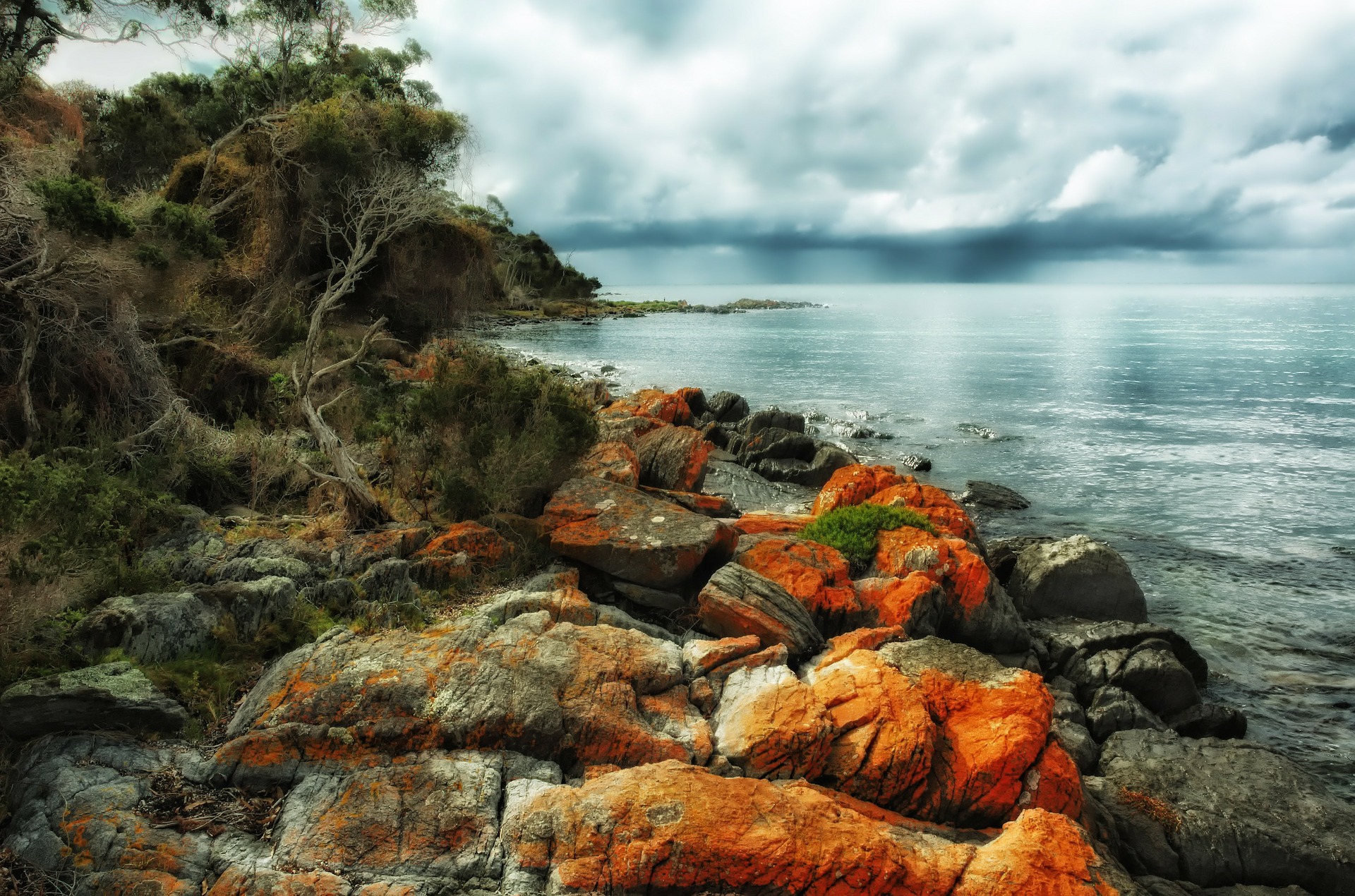 Tasmania Green's Beach | Backpacking in Australia | Solo Female Travel Blog