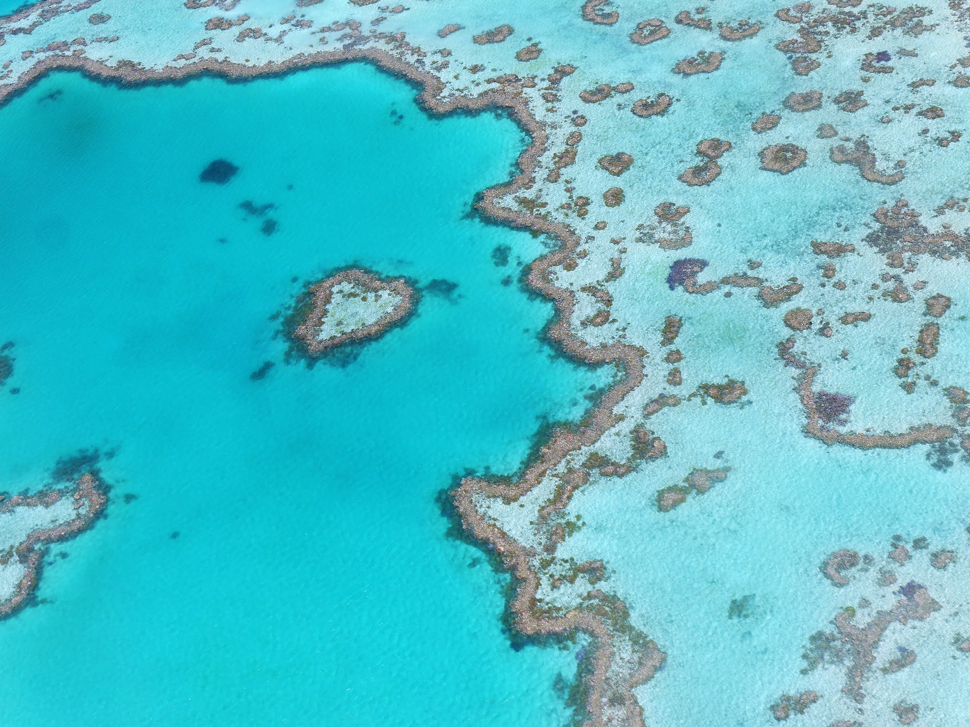 Australian Reef | Backpacking in Australia | Solo Female Travel Blog