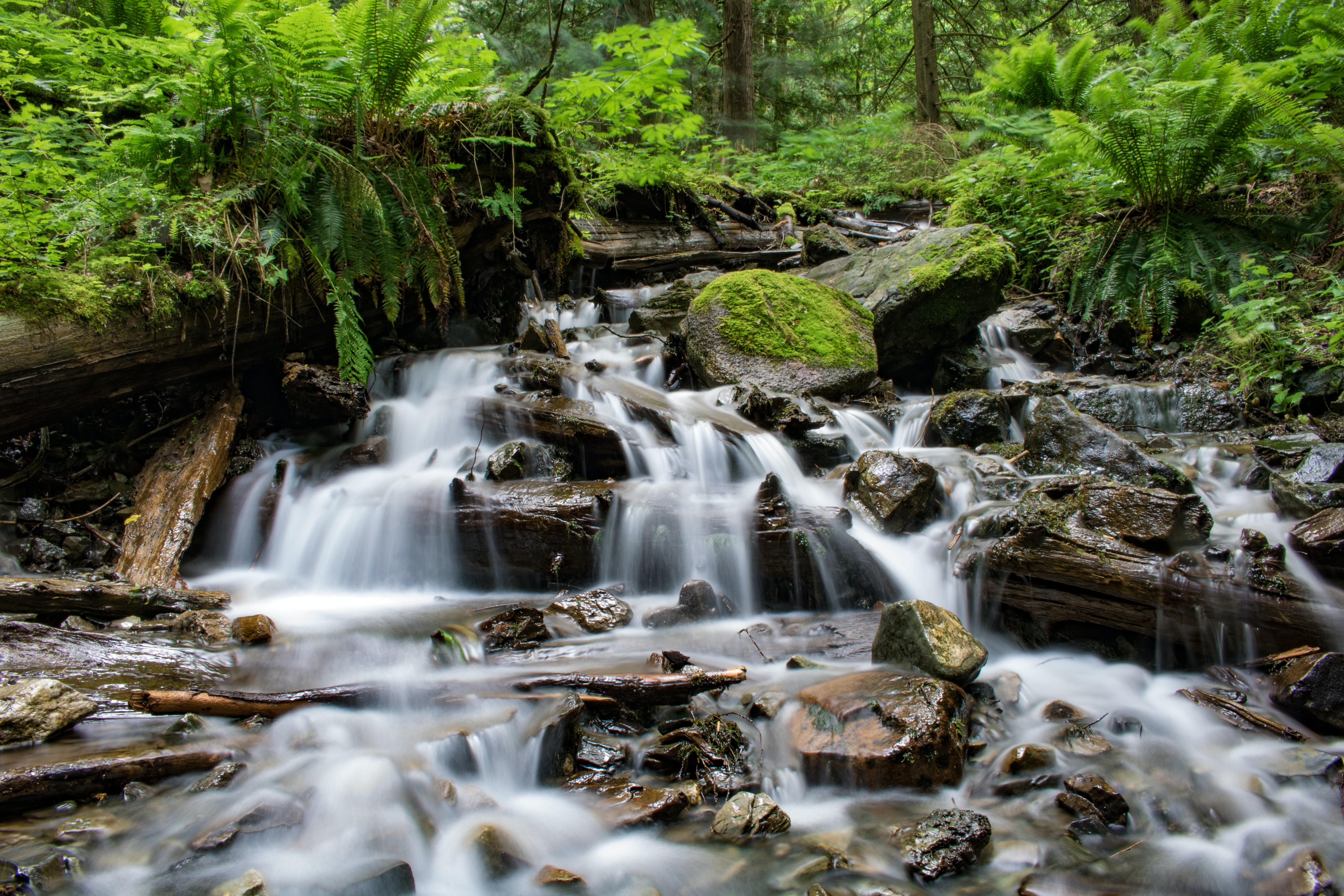 Water Source | Backpacking with Bacon